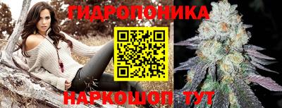 СК Кимры