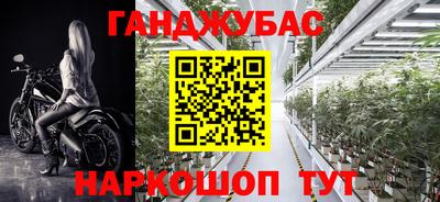 Альфа ПВП Кингисепп