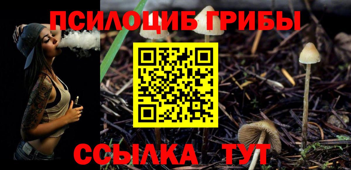 Галлюциногенные грибы Psilocybine cubensis Лангепас